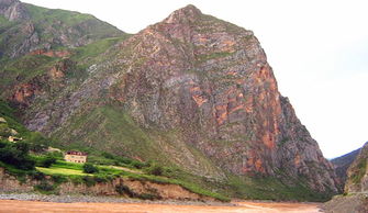 五味子种植小知识