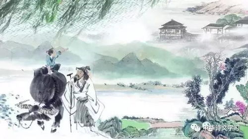 杨柳依依，昔我往矣