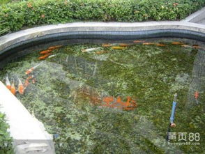 亚硝酸盐含量与水质