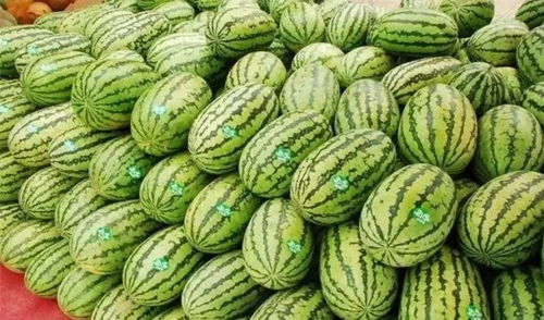 绿色食品的未来