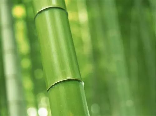 竹子去芯处理，如何避免发黄拆分