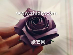 玫瑰花折法视频教程，手把手教你折出漂亮花
