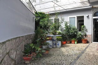 老旧小区庭院， 花儿也嫩开得漂亮