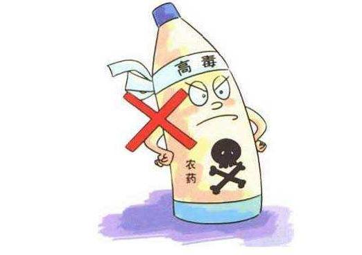 小朋友们的农药迷思