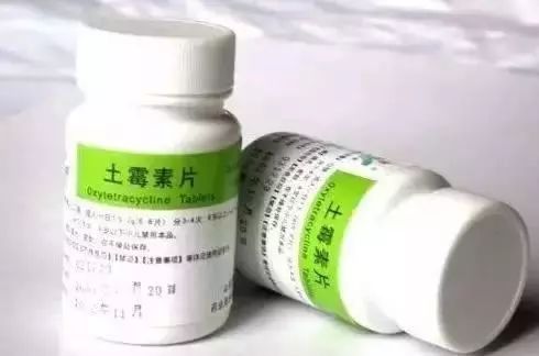 潜叶蝇特效药有哪些？这些药物如何使用更有效