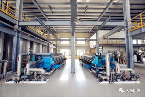 自动化喂料系统助养殖场降本增效