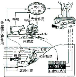 如何计算农业灌溉系统中的循环水量？