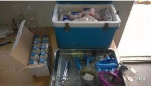 集约化养猪场免疫程序制定需关注疫病风险、疫苗效果及猪群免疫状态