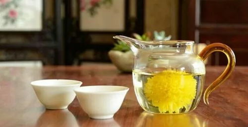 菊花加什么泡茶，去口臭更有效