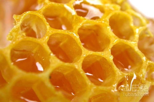石苇是什么？它的功效与作用及禁忌详解