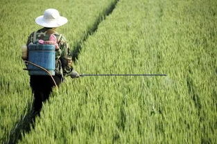 注意事项要牢记