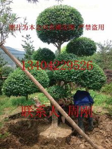 用产品力满足客户的长远需求