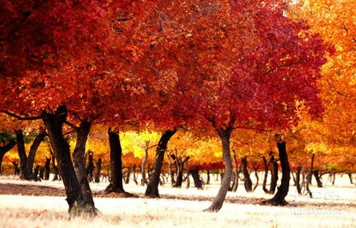 休眠期破解实操方案