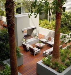 庭院秃了阳台荒？快来试试这5种草种！