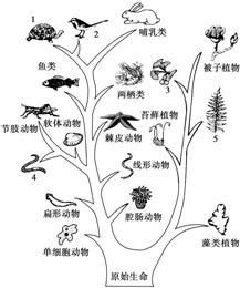将什么树填动词？是“栽”吗
