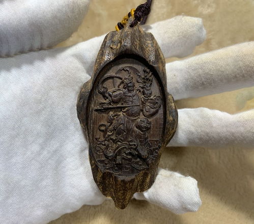 梗多可制作手串的种子