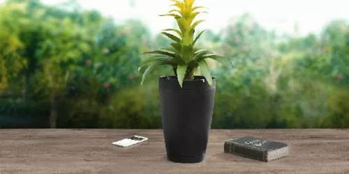 透明花盆的秘密：一目了然的水分渗透