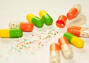 牛健胃不适，需用适宜药物缓解症状