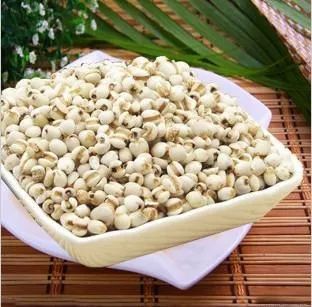 薏米的品种特性