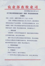 饲料厂化验员主要负责哪些具体工作内容？