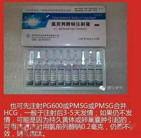 养猪时如何正确使用缩宫素和氯前列醇钠？