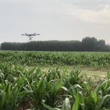 打农药的时间点