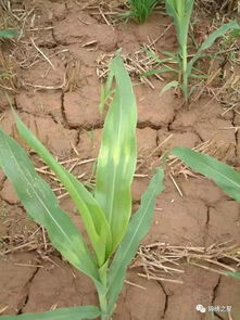 记得这几点，准没错！