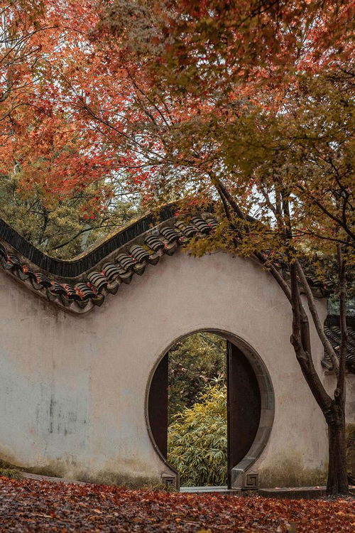 设计要自然 那就得学学大自然