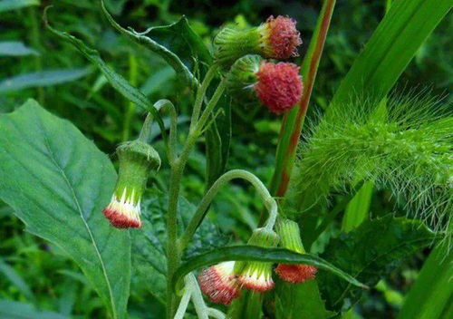 新手如何购买避免上当