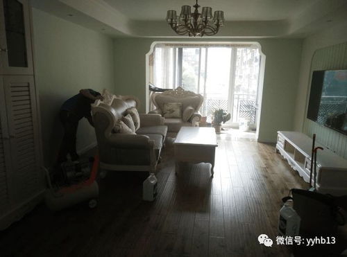 新房入住前，怎样去除甲醛？快学起来！