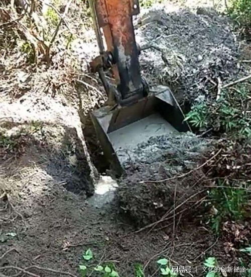 挖掘树桩：平安工具的重要性