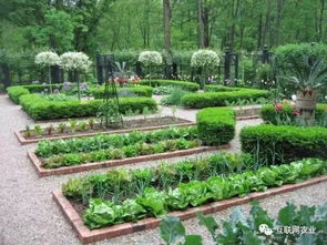 东北花友的花园准备