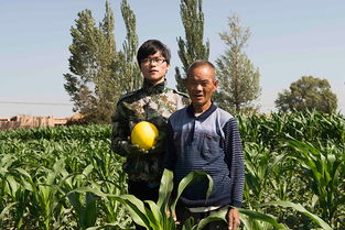 “智慧耕种，勤劳收获
