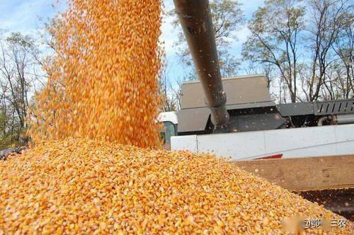 自然韵律的呼应