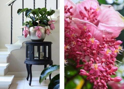 它到底长什么样呢?