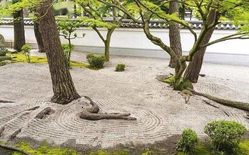 砂石之间，演绎自然之美