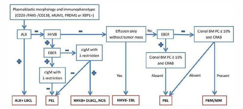 破坏生态友好型农业生产