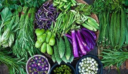 有机饲料与绿色饲料有何差异？绿色食品与有机食品的区别是什么？