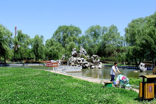 四、 人与自然和谐共生