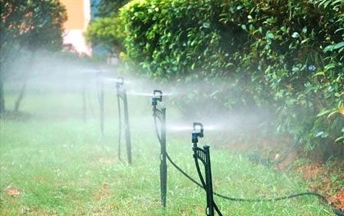 滴灌，细水长流，节水又美观