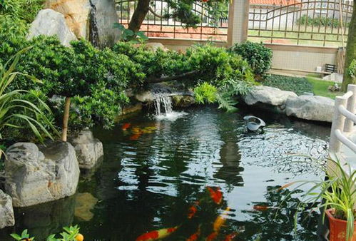 庭院山水景观设计， 打造自然和谐一体化景观