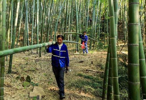 不同用途的产量密码