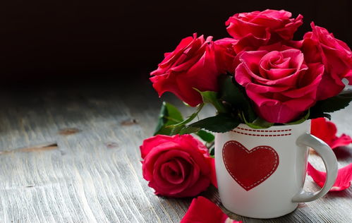 13朵玫瑰的秘密：情感密码大揭秘！