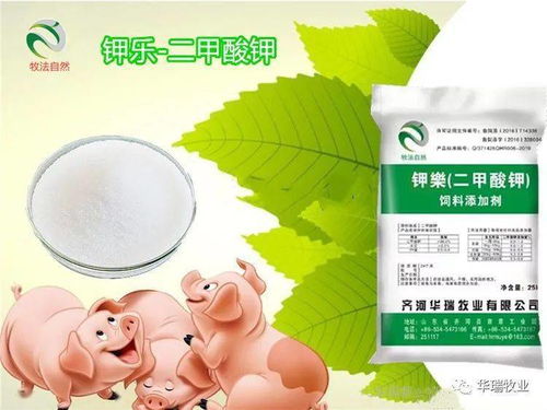 紫苏当杀虫剂，适合施用哪种肥料来促进其生长和杀虫效果？