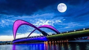 南门展区的别致