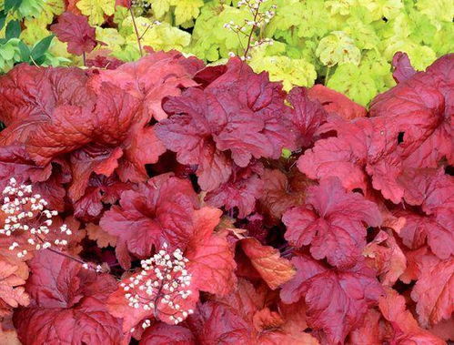 温度低于0℃，泡沫箱来帮忙