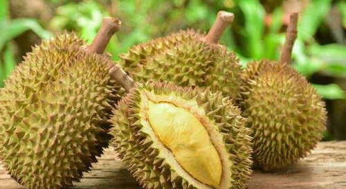 榴莲控注意！这7个禁忌你中招了吗