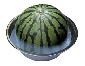 第三步：刷刷梗放心