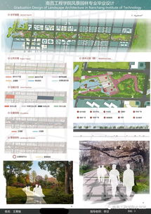 道路绿化：美化城市，提升品味