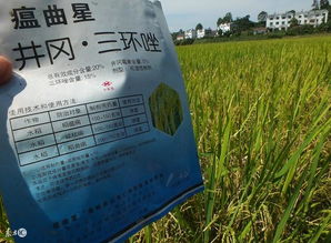 除草剂与三十烷醇的神奇组合